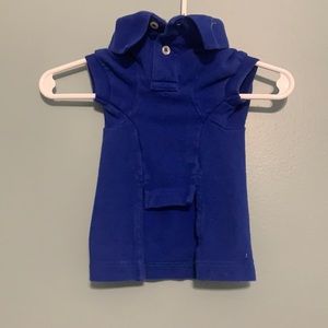 Ralph Lauren Polo for small dog